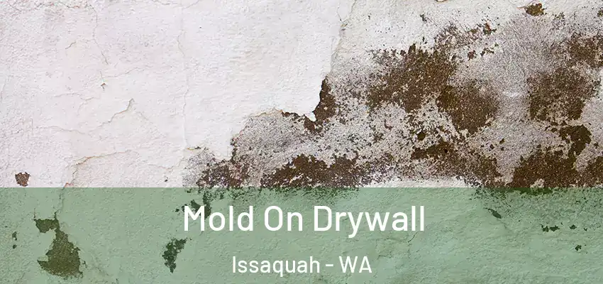  Mold On Drywall Issaquah - WA