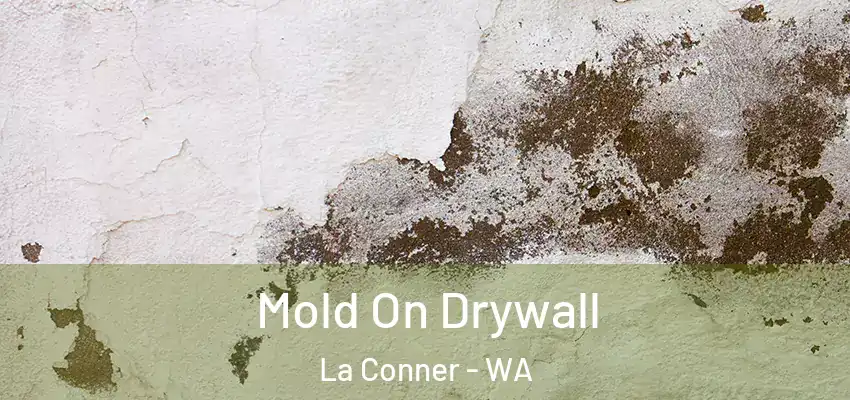  Mold On Drywall La Conner - WA