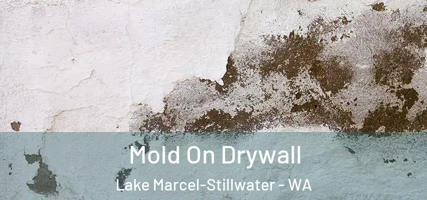  Mold On Drywall Lake Marcel-Stillwater - WA