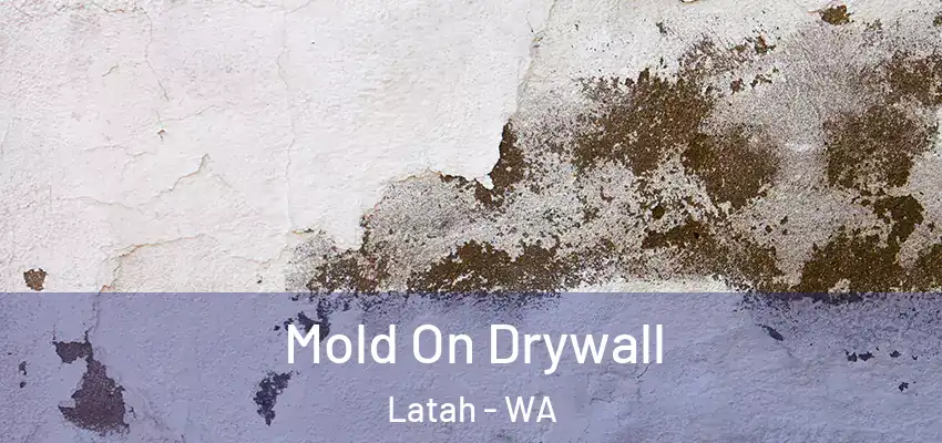  Mold On Drywall Latah - WA