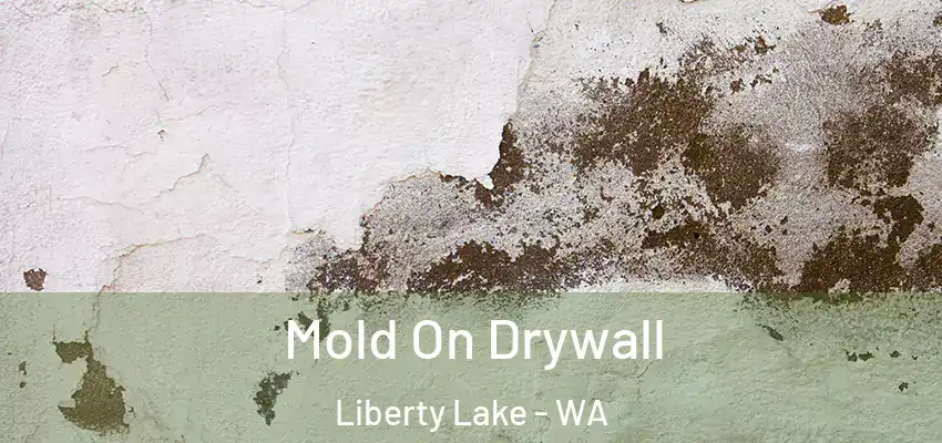  Mold On Drywall Liberty Lake - WA