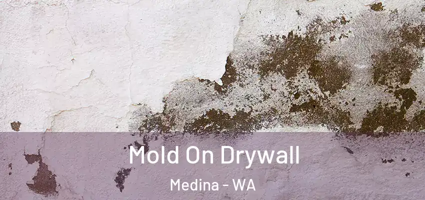  Mold On Drywall Medina - WA