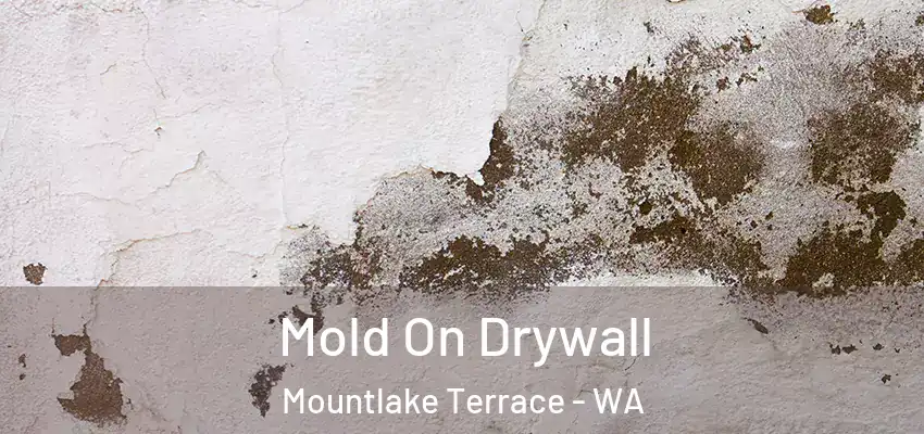  Mold On Drywall Mountlake Terrace - WA