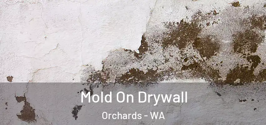  Mold On Drywall Orchards - WA