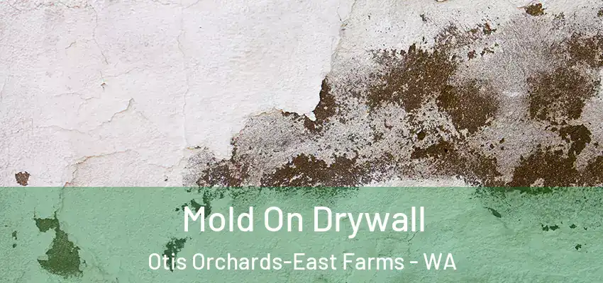 Mold On Drywall Otis Orchards-East Farms - WA