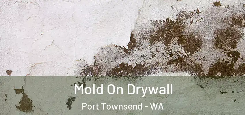  Mold On Drywall Port Townsend - WA