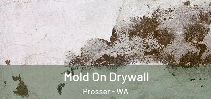  Mold On Drywall Prosser - WA
