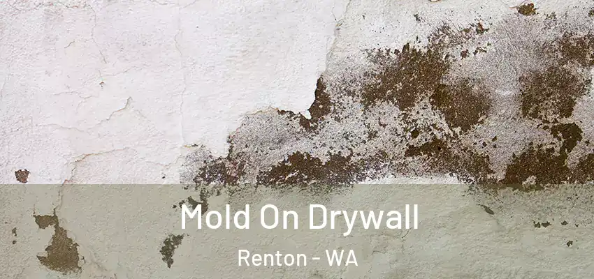  Mold On Drywall Renton - WA
