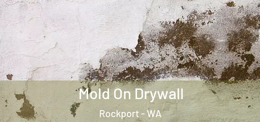  Mold On Drywall Rockport - WA
