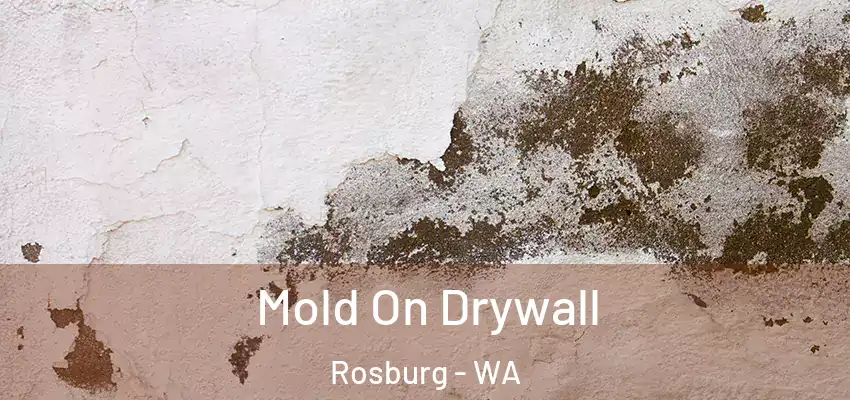 Mold On Drywall Rosburg - WA