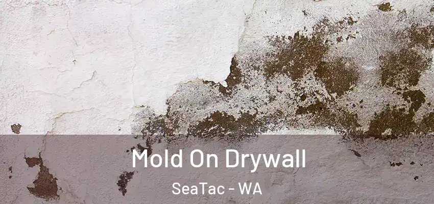  Mold On Drywall SeaTac - WA