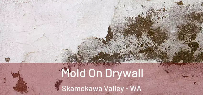  Mold On Drywall Skamokawa Valley - WA