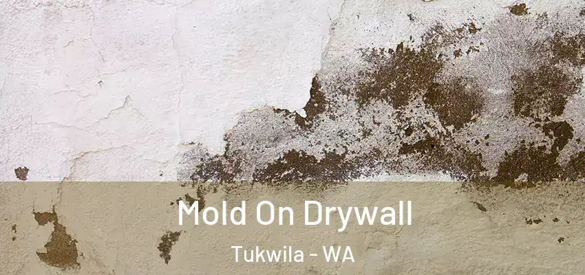  Mold On Drywall Tukwila - WA