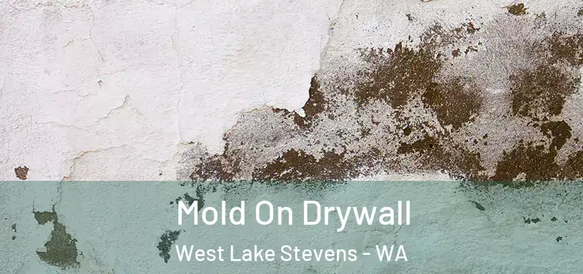  Mold On Drywall West Lake Stevens - WA