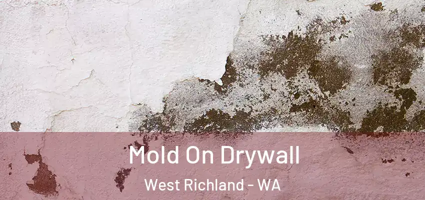  Mold On Drywall West Richland - WA