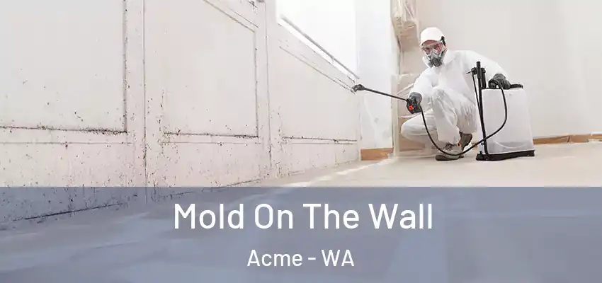  Mold On The Wall Acme - WA