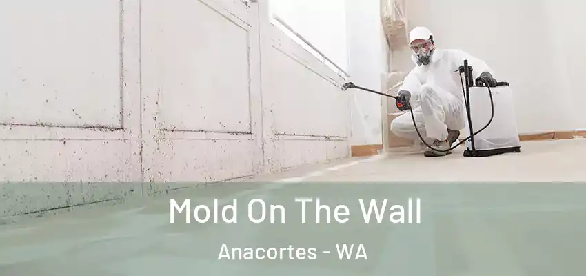  Mold On The Wall Anacortes - WA