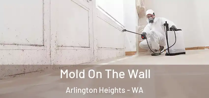  Mold On The Wall Arlington Heights - WA