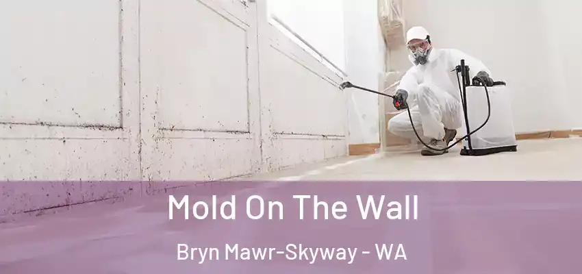  Mold On The Wall Bryn Mawr-Skyway - WA
