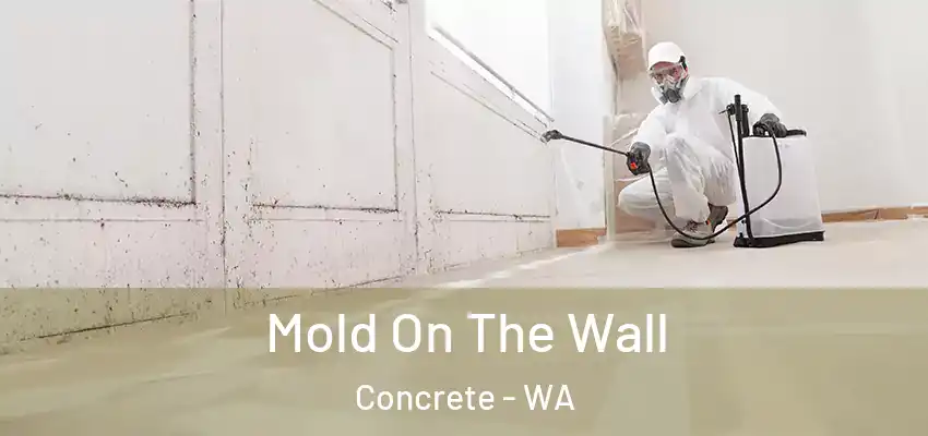  Mold On The Wall Concrete - WA