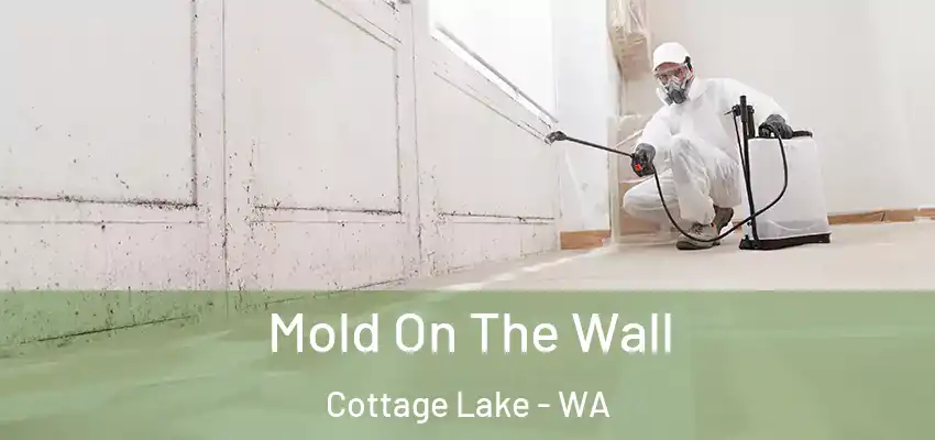  Mold On The Wall Cottage Lake - WA