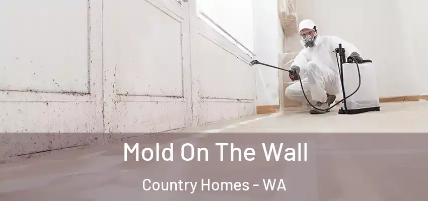  Mold On The Wall Country Homes - WA