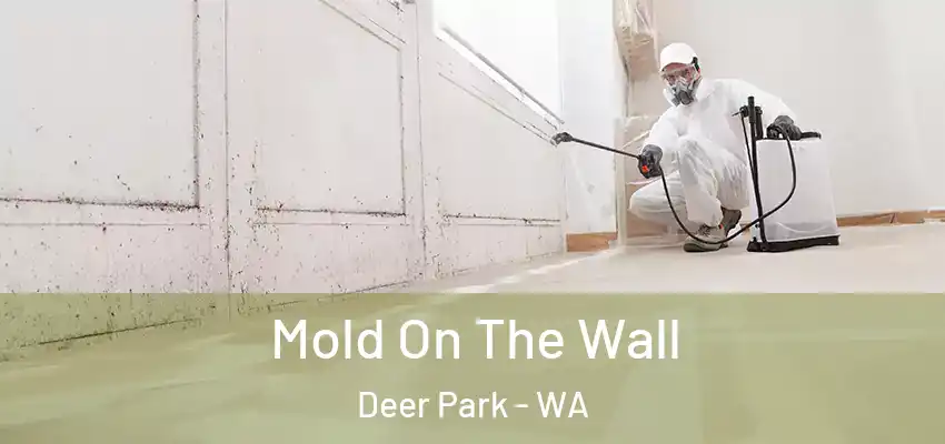  Mold On The Wall Deer Park - WA