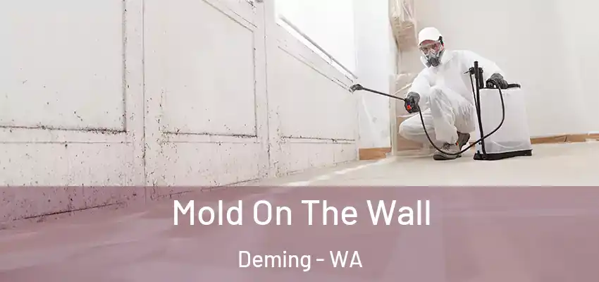  Mold On The Wall Deming - WA