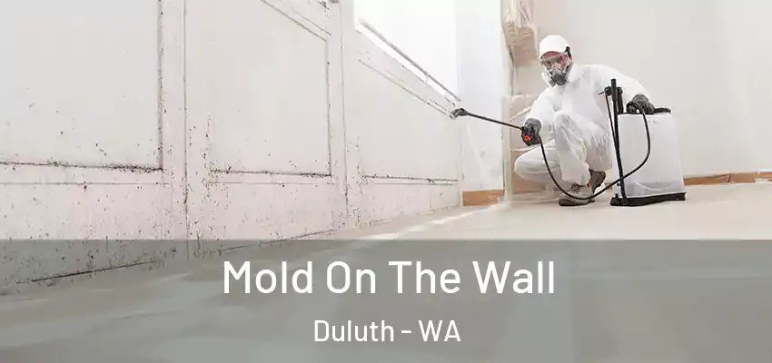  Mold On The Wall Duluth - WA