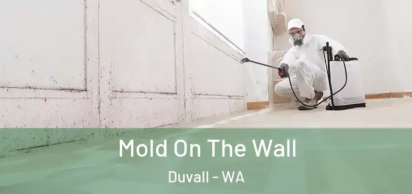  Mold On The Wall Duvall - WA