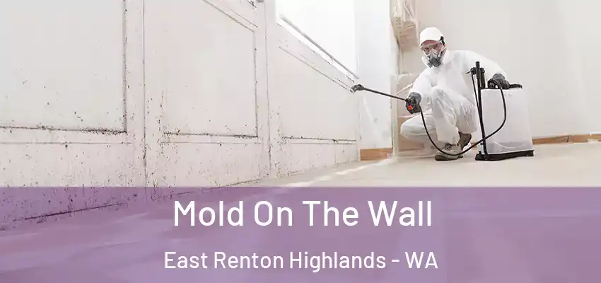  Mold On The Wall East Renton Highlands - WA