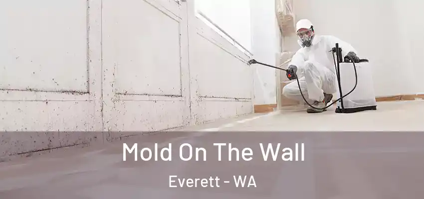  Mold On The Wall Everett - WA