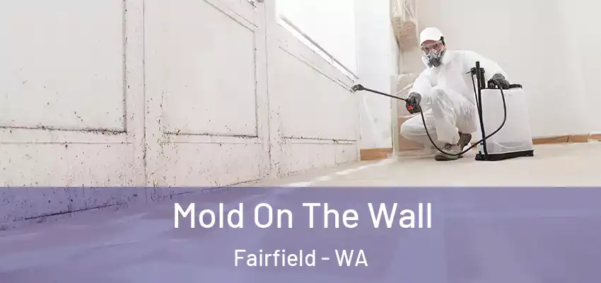  Mold On The Wall Fairfield - WA