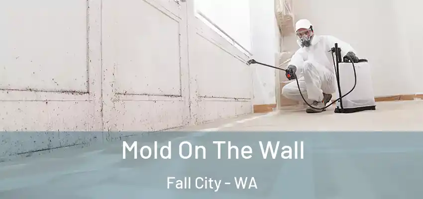  Mold On The Wall Fall City - WA