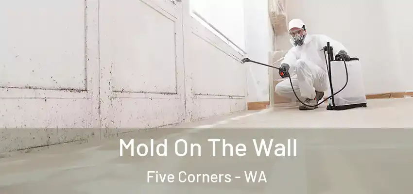  Mold On The Wall Five Corners - WA