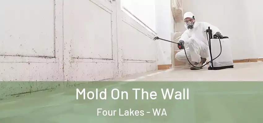  Mold On The Wall Four Lakes - WA