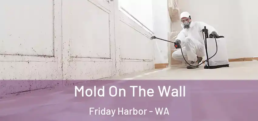  Mold On The Wall Friday Harbor - WA