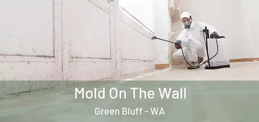  Mold On The Wall Green Bluff - WA