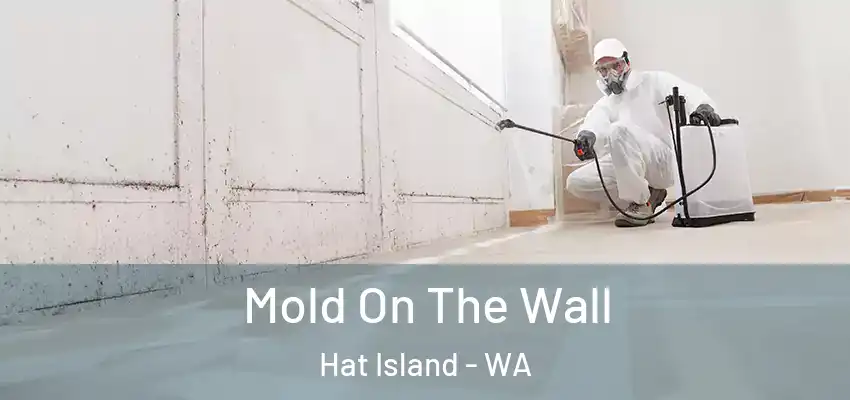  Mold On The Wall Hat Island - WA