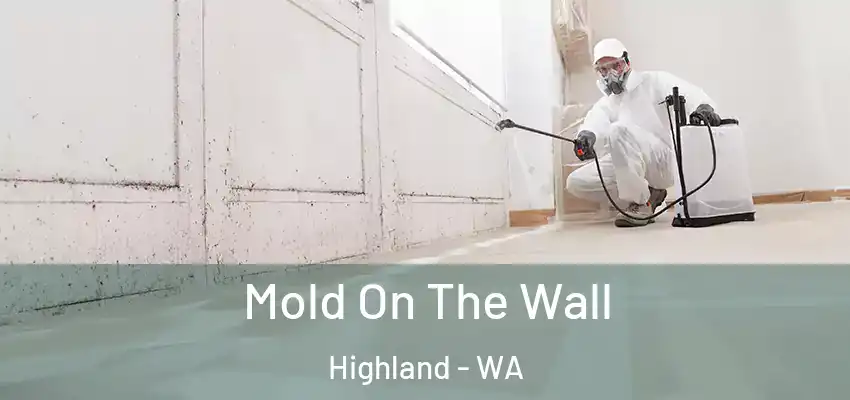 Mold On The Wall Highland - WA