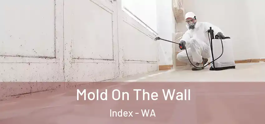  Mold On The Wall Index - WA