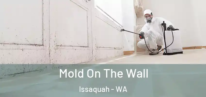  Mold On The Wall Issaquah - WA