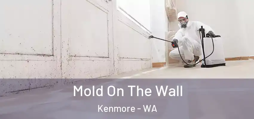  Mold On The Wall Kenmore - WA