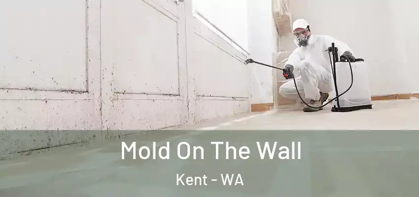 Mold On The Wall Kent - WA