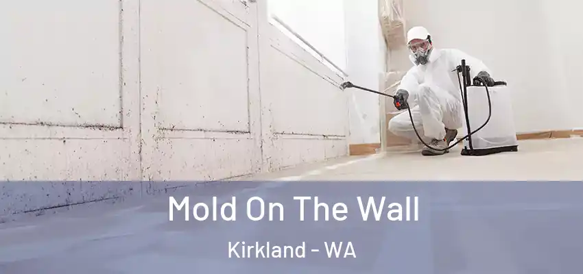  Mold On The Wall Kirkland - WA