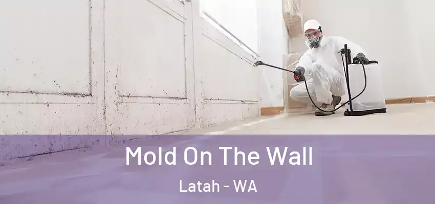  Mold On The Wall Latah - WA