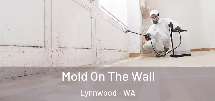  Mold On The Wall Lynnwood - WA