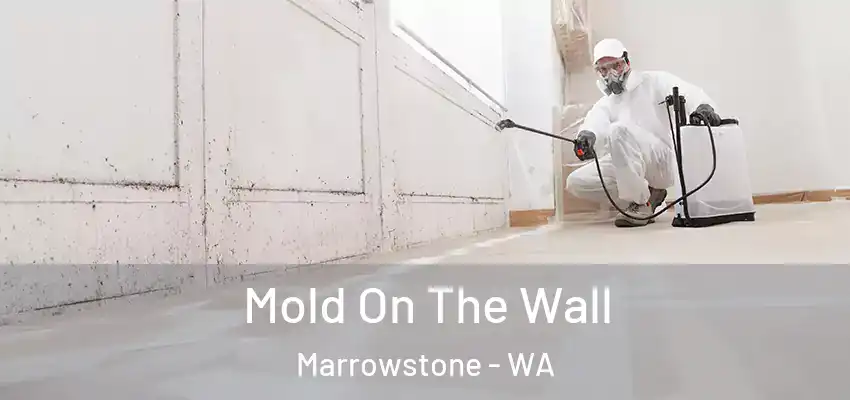  Mold On The Wall Marrowstone - WA