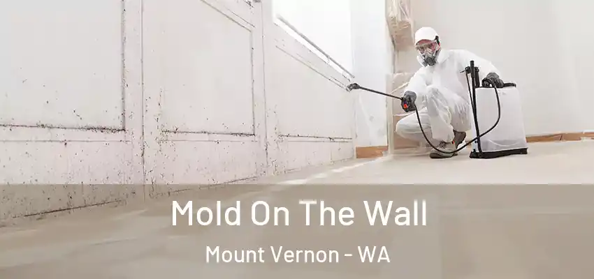 Mold On The Wall Mount Vernon - WA