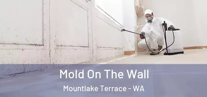  Mold On The Wall Mountlake Terrace - WA